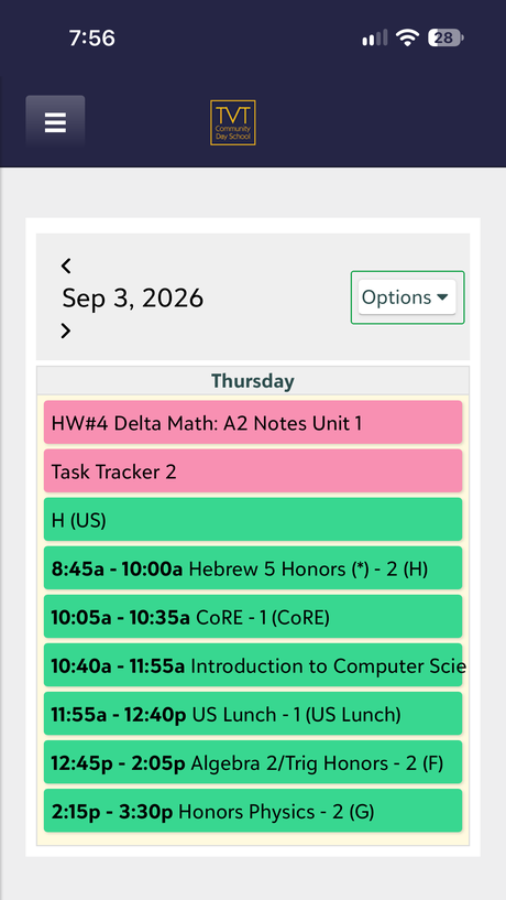 The calendar day view. The Options button is outlined in green.